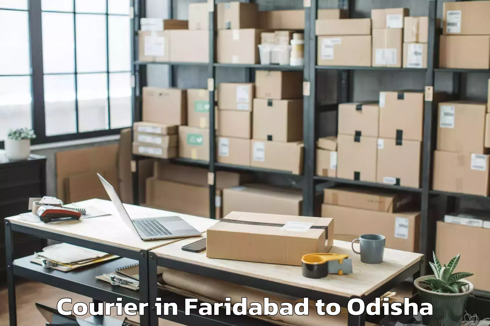 Trusted Faridabad to Komana Courier